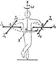 Рис. 23. Совокупность сил инерции, действующих на точки вращающегося тела